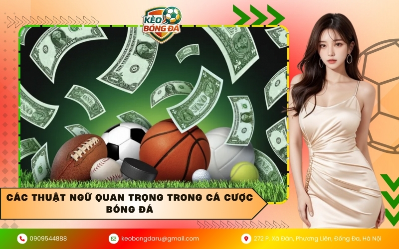 Các thuật ngữ quan trọng trong cá cược bóng đá