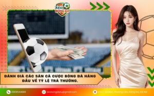 Đánh giá các sàn cá cược bóng đá hàng đầu về tỷ lệ trả thưởng.