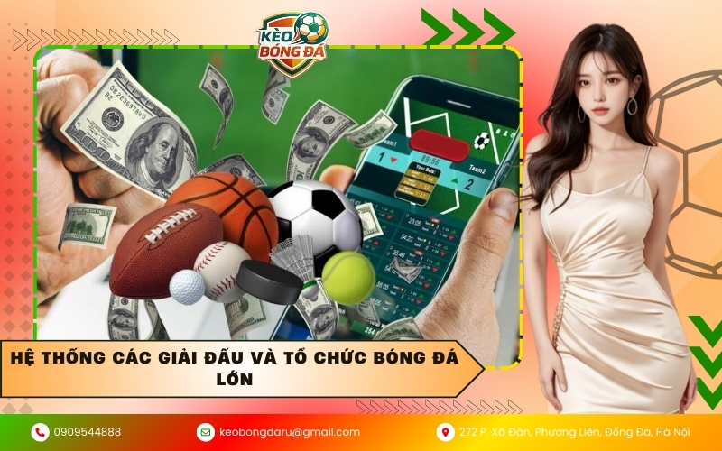 Hệ thống các giải đấu và tổ chức bóng đá lớn