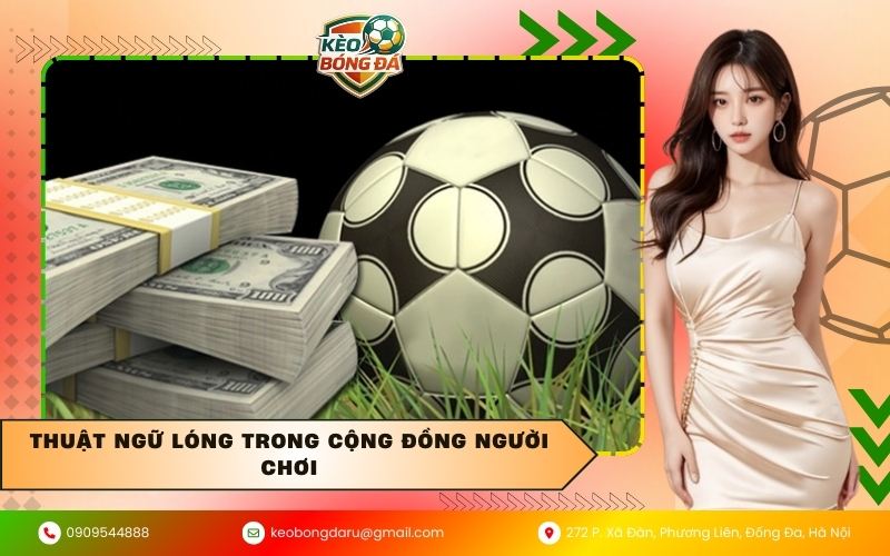 Thuật ngữ lóng trong cộng đồng người chơi