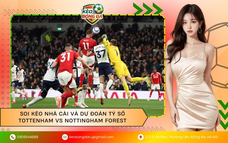 Soi kèo nhà cái và dự đoán tỷ số Tottenham vs Nottingham Forest